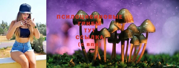 соль ск Галич