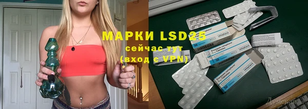шишки Лабытнанги
