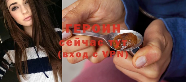 шишки Лабытнанги