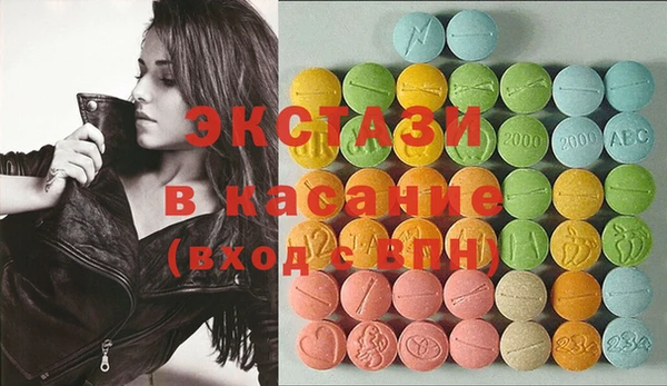 шишки Лабытнанги