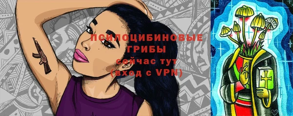 прущая мука Ладушкин