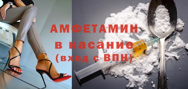 шишки Лабытнанги