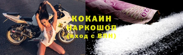 шишки Лабытнанги