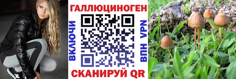 где можно купить наркотик  Маркс  Галлюциногенные грибы MAGIC MUSHROOMS 