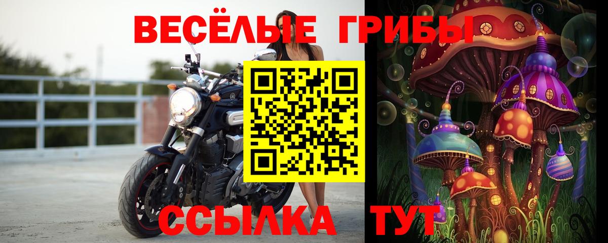 Галлюциногенные грибы Psilocybine cubensis  Галлюциногенные грибы GOLDEN TEACHER  Маркс 